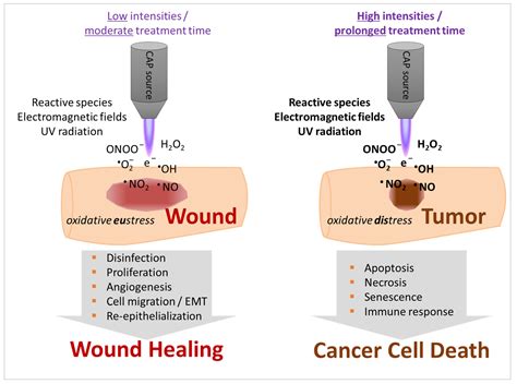 Cold Atmospheric Pressure Plasma in Wound Healing and Cancer Treatment