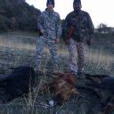 California Wild Pig Hunts