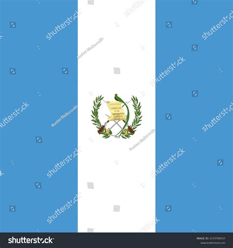 Guatemala Flag Official Colors Vector Illustration Stock Vector ...