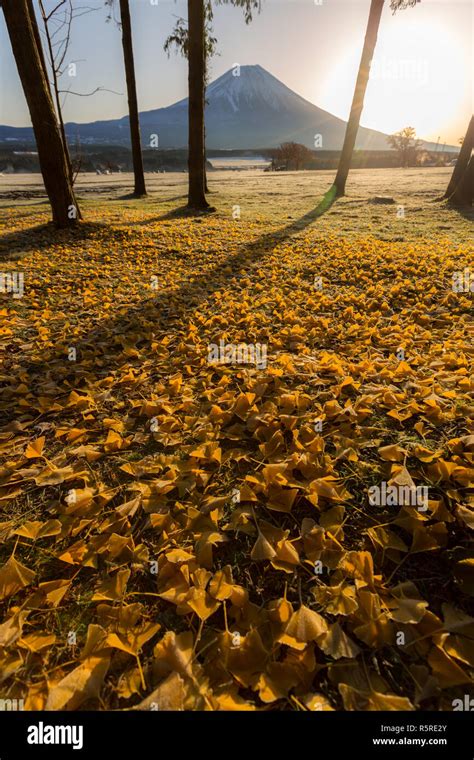 Mount Fuji Sunrise Stock Photo - Alamy