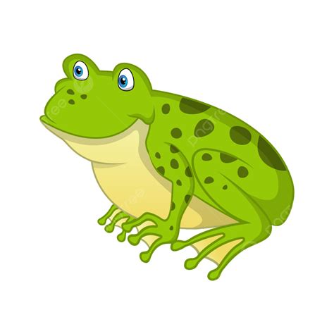 Gambar Katak Kartun Yang Bahagia Vektor, Katak, Kartun, Katak Hijau PNG ...