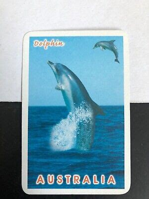 AUSTRALIAN COAST HUMPBACK Dolphins Single Swap Playing Card Aussie ...