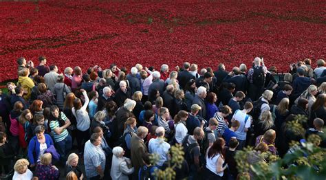 Final Tower of London poppy ‘planted’ on Armistice Day | CNN