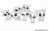 60  Littlest Pet Shop Coloring Pages Free Printable PDF & Online Coloring sketch template