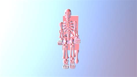 Skeleton Sitting In Chair (1) - 3D model by ChR1s [113d24b] - Sketchfab