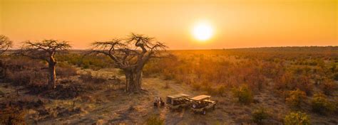 Chobe National Park | Elephants | Chobe Riverfront | Savute | Savuti