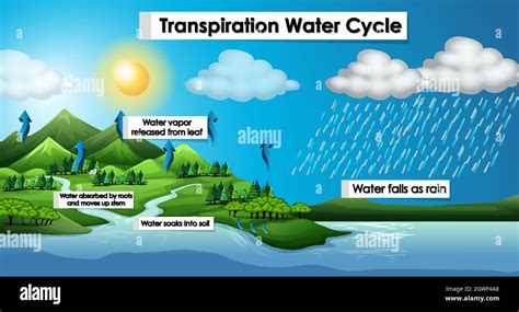 Water Cycle Diagram High Resolution Stock Photography and Images - Alamy
