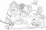 Pond Coloring Page sketch template