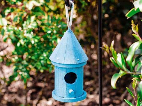 Must Have Squirrel Proof Bird Feeder Pole For Your Feeders