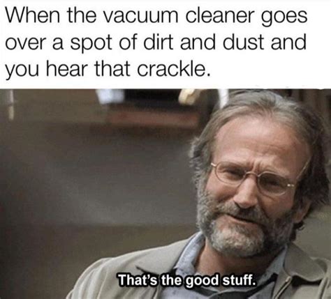 funny memes ; when the vacuum cleaner goes... : r/lolomemescom