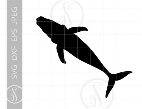 Humpback Whale SVG Whale Silhouette Clipart Whale | Etsy