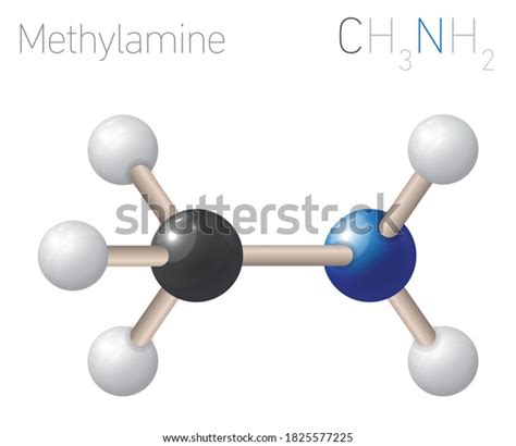 53 Methylamine Images, Stock Photos & Vectors | Shutterstock