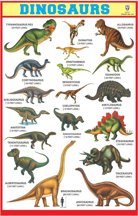 Poster Dinosaur Name Chart Dinosaur Pictures Dinosaur Types Dinosaur | My XXX Hot Girl