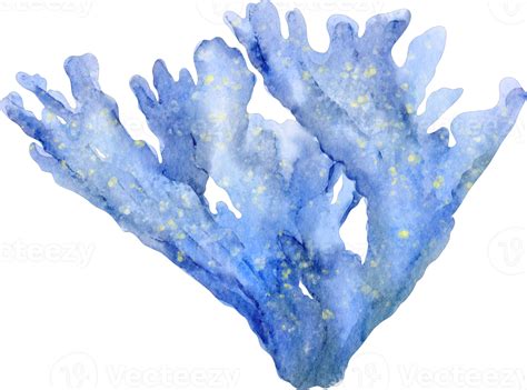 watercolor coral clip art blue 16535110 PNG