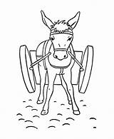 Democratic Donkey Coloring Page sketch template