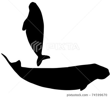 Beautiful dugong silhouette - Stock Illustration [74599670] - PIXTA