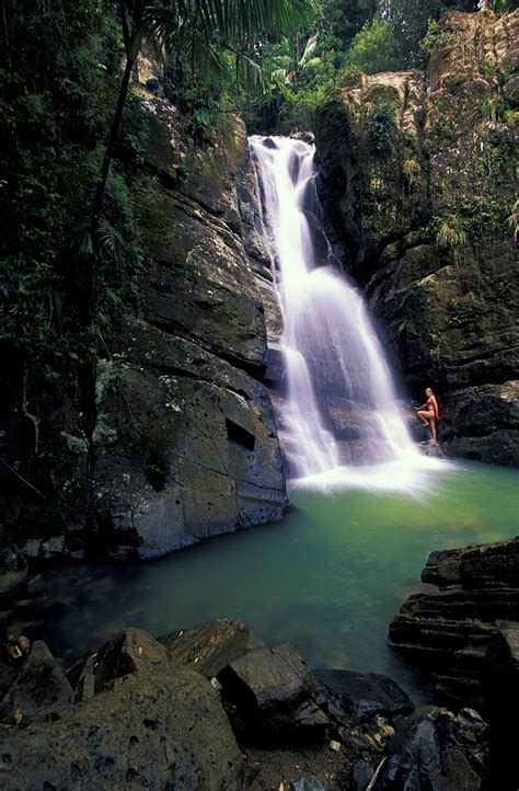 El Yunque travel | Puerto Rico - Lonely Planet