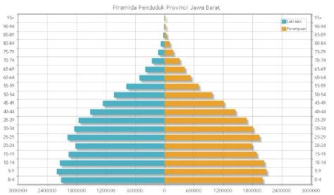 PIRAMIDA PENDUDUK INDONESIA : Pengertian, Fungsi, Jenis dan Gambarnya | Salamadian