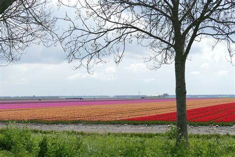 Flevoland- Netherlands - Guide to naturist holidays