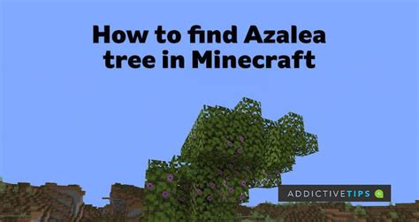 How to Find Azalea Trees in Minecraft