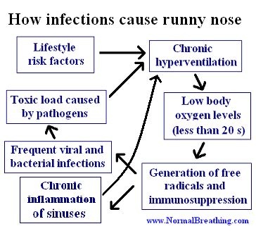 Runny Nose Passages: Causes, Fast Remedy, and Cure