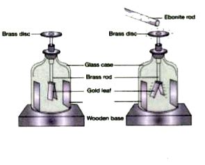 Draw a labelled diagram of a gold-leaf electroscope.