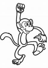 Free & Easy To Print Monkey Coloring Pages  Tulamama sketch template