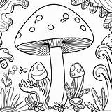 Trippy Mushroom Coloring Page 8910 7088 sketch template