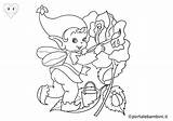 Elfi Kabouters Colorare Zwerge Zwerg Malvorlage Nain Kabouter  sketch template