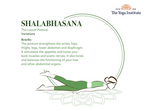 Shalabhasana Steps