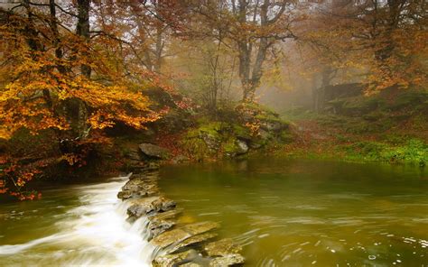 Green water in a shallow river wallpapers and images - wallpapers, pictures, photos