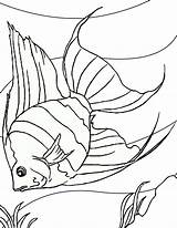 Free Printable Fish Coloring Pages For Kids sketch template