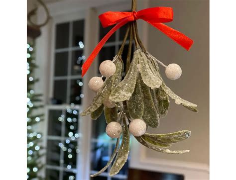 Mistletoe Christmas Decoration Sparkly Iced Mistletoe - Etsy