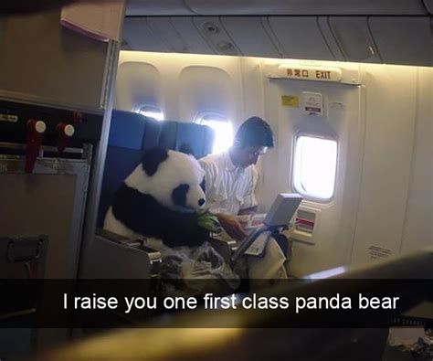 10+ Of The Funniest Things That Have Ever Happened On A Plane | Bored Panda