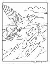 100  Hummingbird coloring Pages Free PDF To Print Woo Coloring sketch template