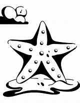 33 Stunning Starfish Coloring Pages  My Favorite Coloring sketch template