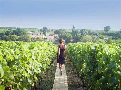 Growth Trend: Bordeaux Vineyard Tourism - Vineyards Bordeaux