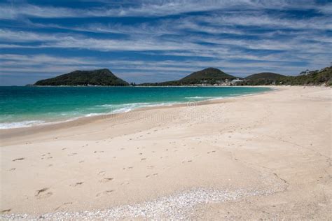 Shoal Bay Beach stock image. Image of relaxing, season - 81244907