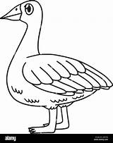 Goose Coloring Page Isolated For Kids Stock Vector Image & Art  Alamy sketch template