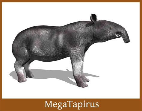 3d prehistoric tapir megatapirus