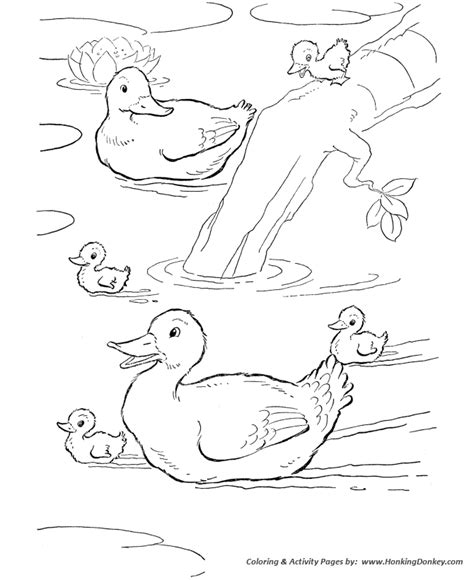 Farm Animal - Ducks swimming in the farm pond Coloring Pages ...