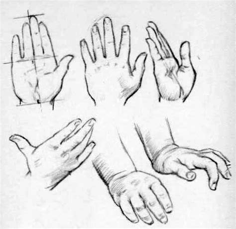 How to Draw Hands - Reference Sheets and Guides to Drawing Hands - How to Draw Step by Step ...