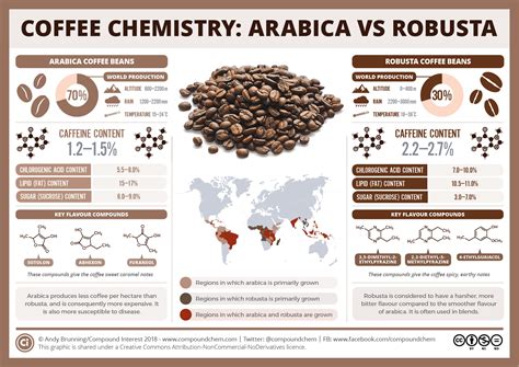 Why is Coffee Bitter? – The Chemistry of Coffee | Compound Interest