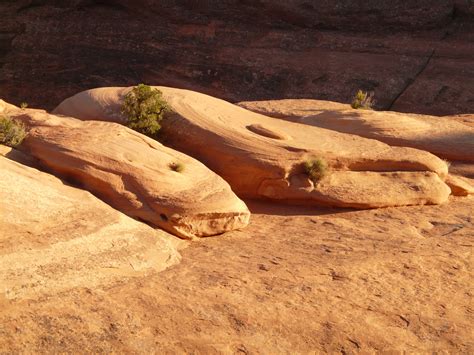 Free Images : sand, rock, wood, usa, soil, erosion, geology, utah, arches national park, moab ...