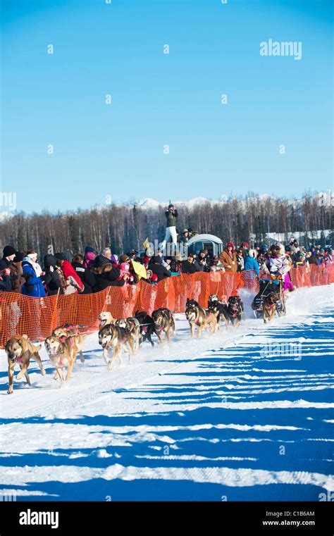 Dee dee jonrowe iditarod official iditarod start willow alaska hi-res ...