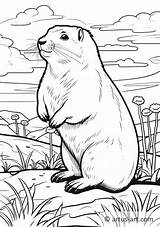 Prairie dog Coloring Page » Free Download Artus Art sketch template