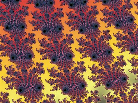 Fractal Pattern Free Stock Photo - Public Domain Pictures