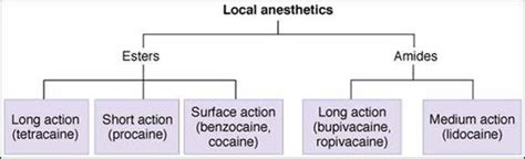 Calculate Maximum Dose of Local Anesthetic - FreeMedicalMCQs.com