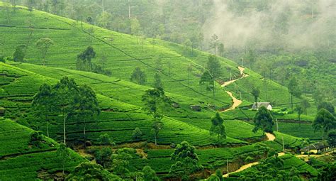 10 Rekomendasi Tempat Healing di Pangalengan