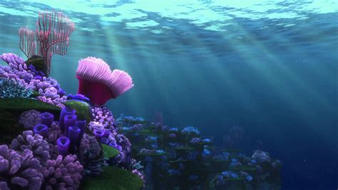 Finding Nemo Wallpapers Hd - Finding Nemo Ocean Background - 1920x1080 Wallpaper - teahub.io